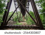 Railroad bridge over Devil