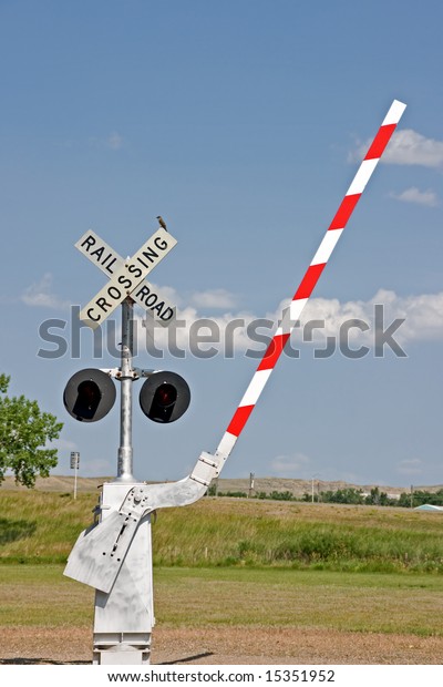 Railroad Crossing Signal Lights Barrier Bird Stock Photo (Edit Now ...