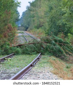 Railroad Line Blocked After Hurricane Florence Near Fayetteville North Carolina