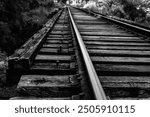 Railroad spikes and linear rails showing depth of field bw photo