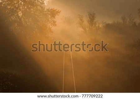 Similar – Image, Stock Photo Foggy river in the morning. Summer misty sunrise