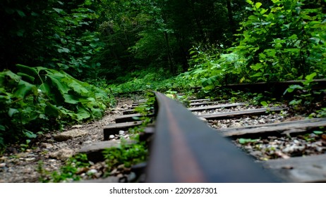 The Railroad That Goes Forward Into The Forest. The Way Forward. The Urge To Move. The Contrast Of Nature And Technology. Winding Road Of Life.