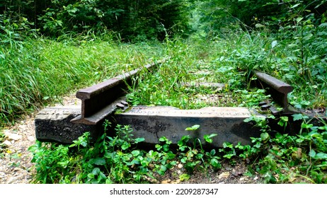 The Railroad That Goes Forward Into The Forest. The Way Forward. The Urge To Move. Nature Takes Its Territory From Man. The Victory Of Nature Over Technology. Abandoned Railroad.