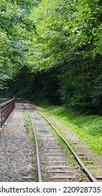 The Railroad That Goes Forward Into The Forest. The Way Forward. The Urge To Move. The Contrast Of Nature And Technology. Winding Road Of Life.