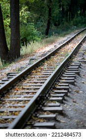 Railroad Track Leading Through Forest. Rails Strewn With Autumn Leaves. Vertical Frame.