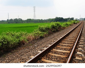 A railroad track next to a rice field on a sunny day. - Powered by Shutterstock