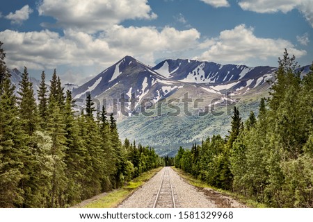 Railroad track in the wilderness of Alaska