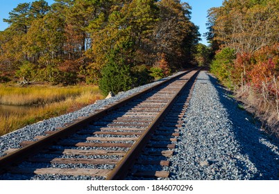 Railroad Tracks In Autumn Forest On Cape Cod