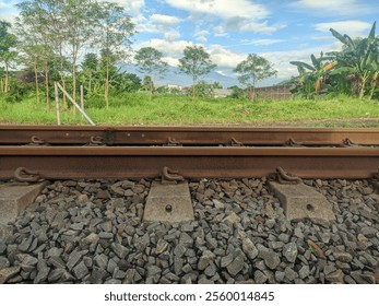 railroad tracks with a clear sky background, trees, and grass  - Powered by Shutterstock