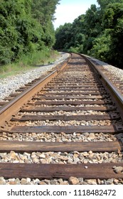 Railroad Tracks In Columbia, SC.