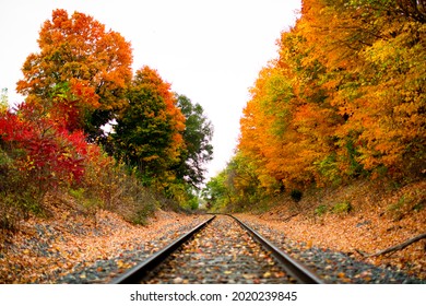 Railroad Tracks In The Middle Of Nowhere Cutting Through Fall Colored Autumn Trees Changing Colors