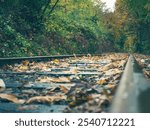 Railroad tracks shot on Hasselblad X2D with 85mm f1.9 autumn in Oregon on the Willamette river