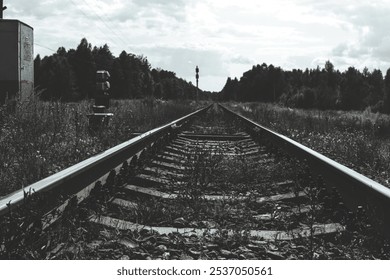 Railroad tracks stretching to the horizon on a cloudy day create a sense of perspective and distance due to the weeds between the tracks. Railroad tracks running through a forest. - Powered by Shutterstock