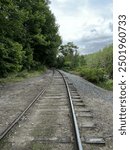 Railroad tracks in the woods in Campton, New Hampshire, in late summer