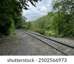 Railroad tracks in the woods in Campton, New Hampshire, in late summer