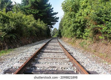 Rails Perspective Between A Green Shrubbery