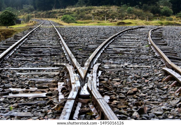 Rails that are divided in\
two directions, scene taken from a low perspective at ground\
level.