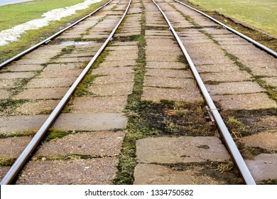Rails Of Tram Tracks Close Up With Grass