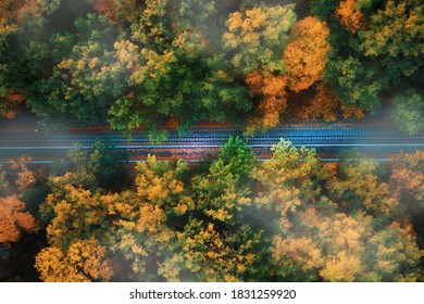 Railway In Beautiful Foggy Forest At Sunset In Autumn. Top View Of Train Rails In Fall. Fall Landscape With Railroad And Foggy Trees Foliage. 