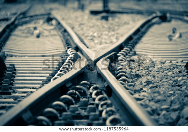 “X” Railway\
crossing.Trains running along the busy railway line were halted\
during the afternoon and\
evening.