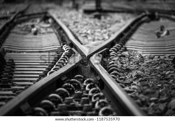 “X” Railway\
crossing.Trains running along the busy railway line were halted\
during the afternoon and\
evening.