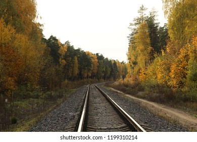 Railway gors in golden autumn trees in the indian summer forest in nice sunny day