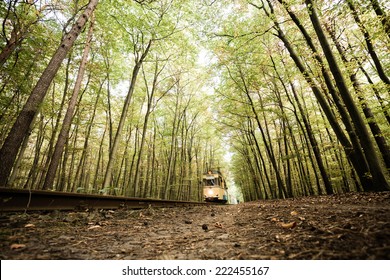 Railway leading through the autumn forest with motion blurred train. Wide shot from low angle perspective. Color toned image.