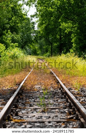 Railway line with narrow gauge track in Plettenberg-Herscheid Germany on a summer day. Colorful vegetation overgrowing the rails of a museum railway in rural scenery. Vanishing point at the horizon.