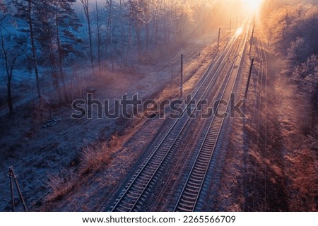 The railway line snakes through the woodlands on this chilly autumn morning. The sun's rays break through the tree canopy and illuminate the rusting rails. Long shadows are cast on the tracks