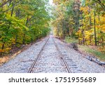 Railway lines through autumn colored forest  at Bears Notch on Kancamagus Highway, New Hampsire USA.