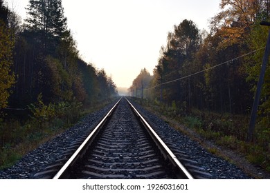 The railway passes through the autumn forest - Powered by Shutterstock