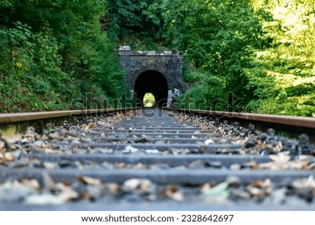 a railway in the spring forest. Tunnel of rails, trees and the railroad