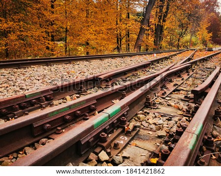 Railway switch, rails in the background of the autumn forest. Autumn in Poland. Chorzow, Silesian Park
