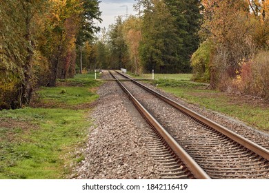 Railway Track In Autumn Landscape Surrounded By A Forest. Diminishing Perspective View Of Rails In Rural Area.