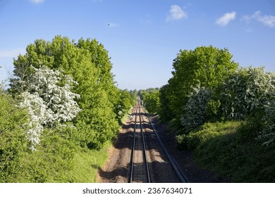 A railway Track surrounded by green nature in Warwickshire - Powered by Shutterstock