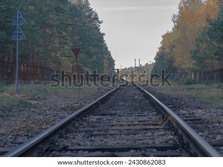 Railway tracks in the autumn forest.October autumn day in the forest with the railway tracks leading to the steelworks, under a cloudy grayish sky.
