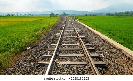 Railway tracks in rice fields. Beautiful views of rural Indonesia - Powered by Shutterstock