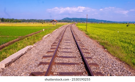 Railway tracks in rice fields. Beautiful views of rural Indonesia - Powered by Shutterstock