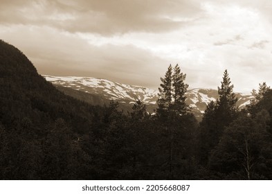 Railway Travel In Norway.Views From The Train. Flamsban.The Bergen - Oslo Train. Norway