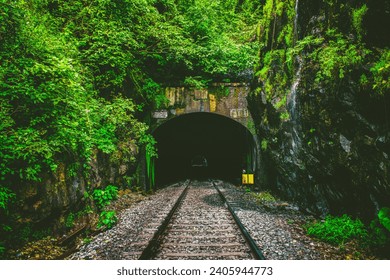 Railway tunnel in Goa's tropical forest, creating a picturesque travel background. - Powered by Shutterstock