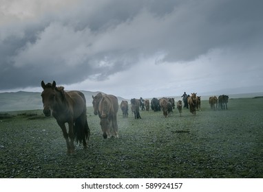 In the rain