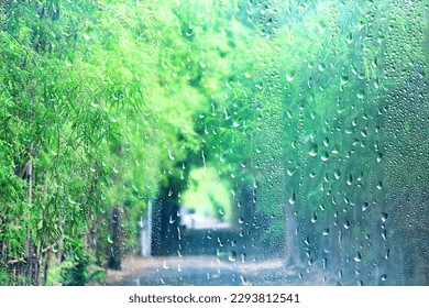 rain asia green, background downpour rainy season typhoon - Shutterstock ID 2293812541
