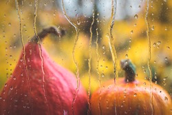 Rain At Autumn. Raindrops On Window. Defocused Pumpkins As Background. Sadness In Fall Season