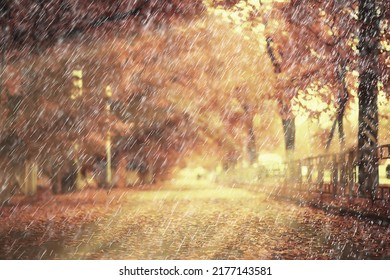 Rain Background Autumn Landscape Park, Abstract Seasonal Nobody Weather October Landscape