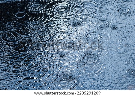 Rain Background. Raindrops in a puddle. Circles on the water.