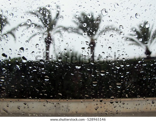  Rain
from the car                             
