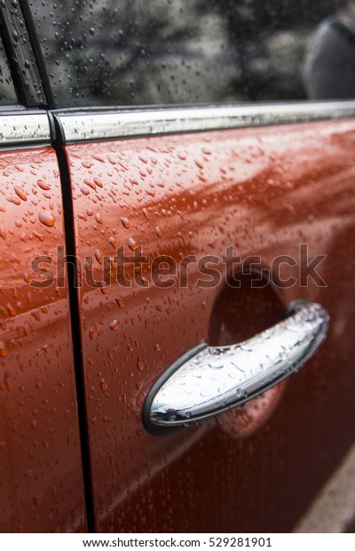 rain car\
door