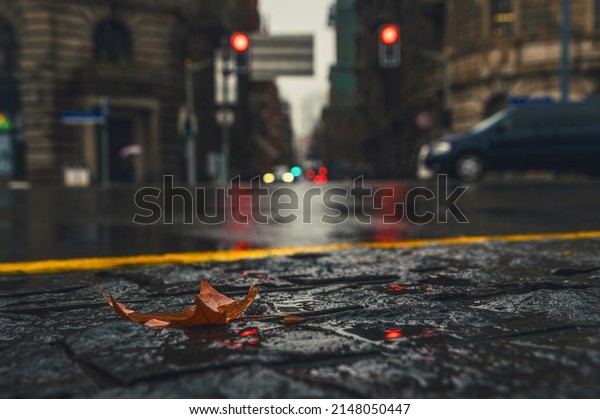 Rain in\
the city. Water splashes, spills on\
roadway