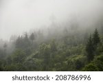 Rain cloud in a mountain forest. Manali, Himachal Pradesh, India.