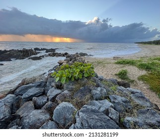 Rain cloud over the ocean
